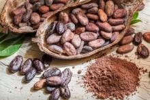 Preisboom: Wie sich die Rekordpreise für Kakao auf den Schokoladenmarkt auswirken werden